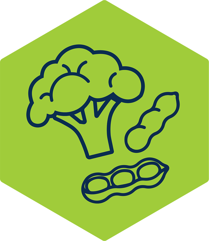 Icon of broccoli and beans.